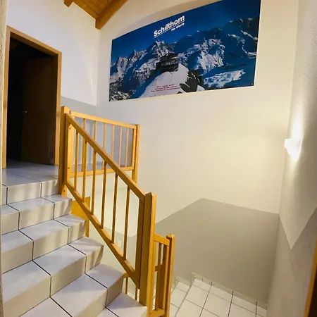 View شقة نيدريد